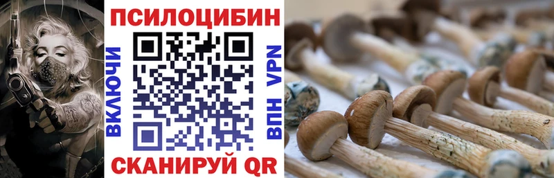 цены наркотик  Березники  Галлюциногенные грибы Magic Shrooms 